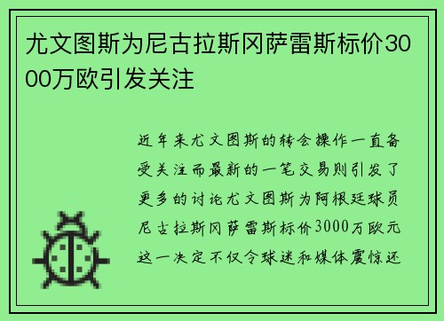 尤文图斯为尼古拉斯冈萨雷斯标价3000万欧引发关注